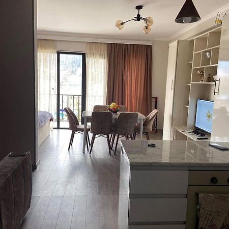 Vitali Apartment Borjomi Dış mekan fotoğraf