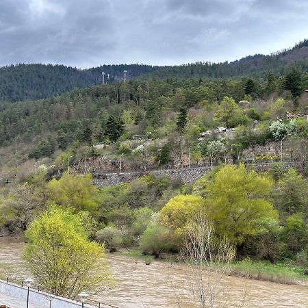 Vitali Apartment Borjomi Dış mekan fotoğraf