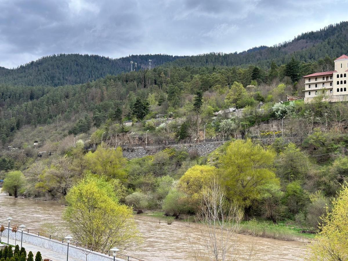 Vitali Apartment Borjomi Dış mekan fotoğraf
